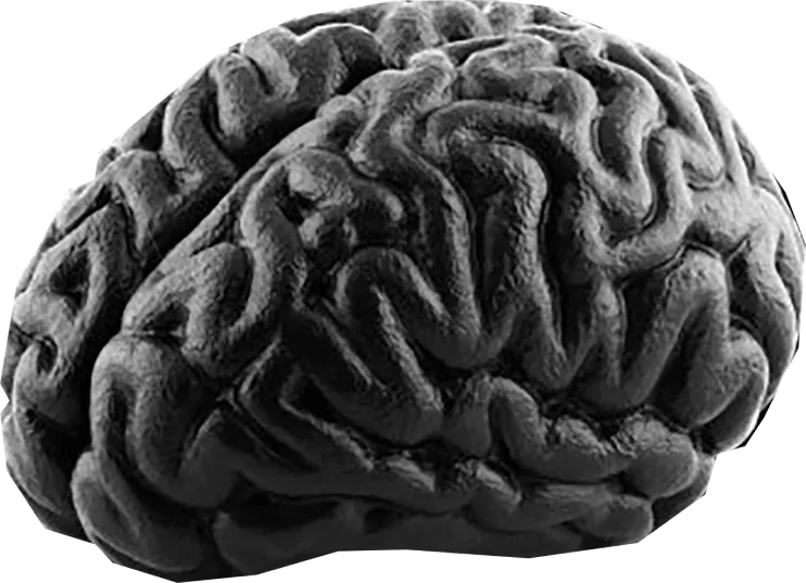 image of a black and white brain